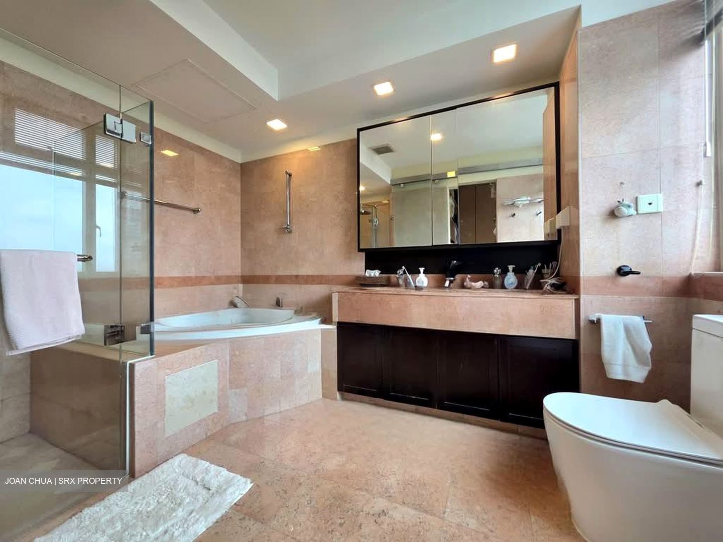 The Horizon (D10), Condominium #581907351